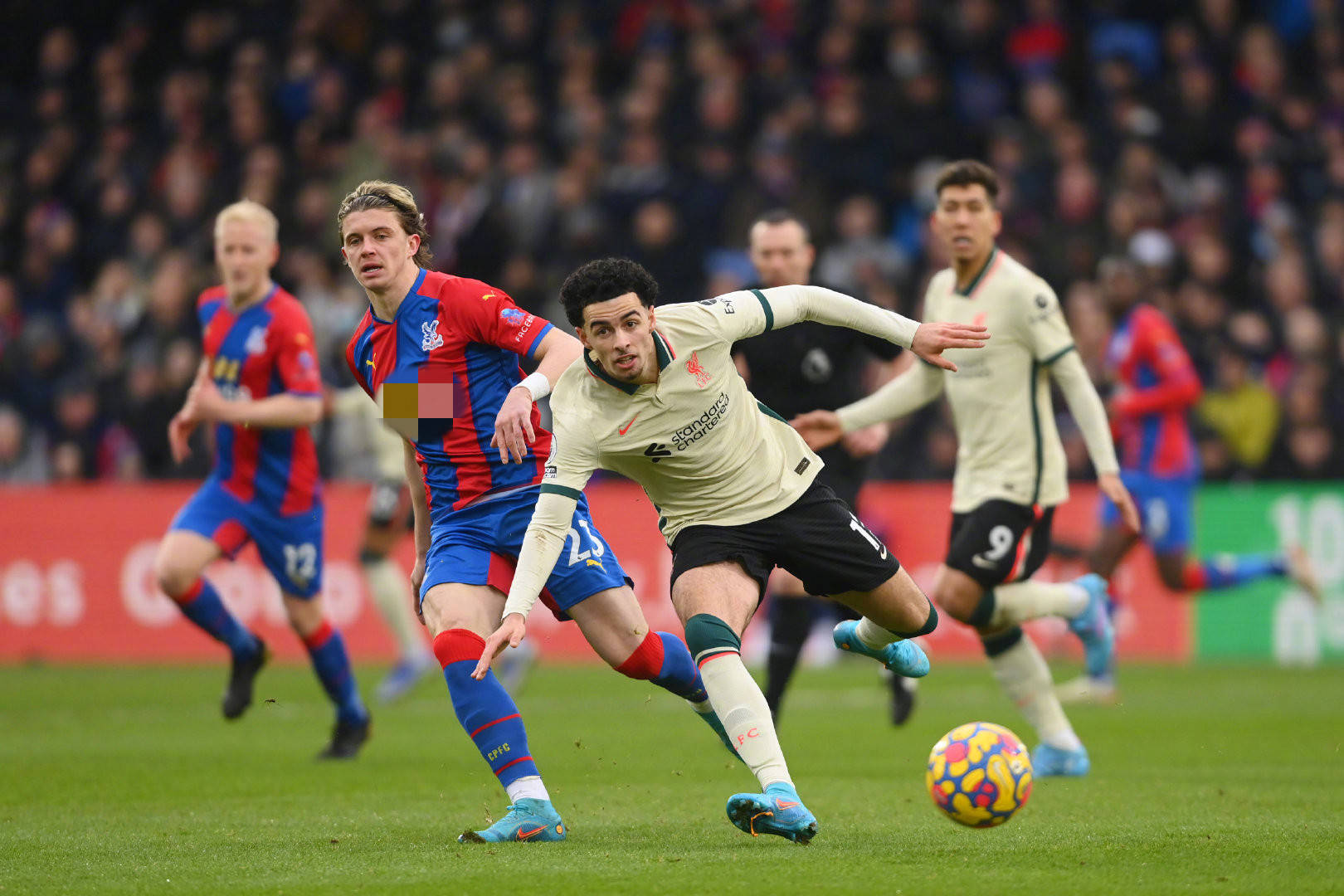 们被评为2 们被评为2